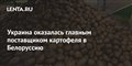 Украина оказалась главным поставщиком картофеля в Белоруссию