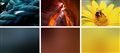 Dominant Colors for Lazy-Loading Images | manu.ninja