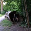 FPM: Fix memory leak for invalid primary script file handle by bukka · Pull Request #11088 · php/php-src