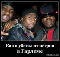 Как я убегал от негров в Гарлеме