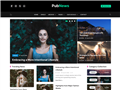 Pubnews | WordPress Theme Directory