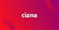 Что такое SDN? - Ciena