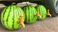 Kikibom.com - Fun videos for kids