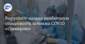 Вирусолог назвал необычную способность штамма COVID «Омикрон»
