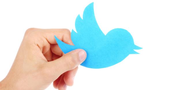 Twitter отфильтрует публикации и уведомления от спамеров и ботов
