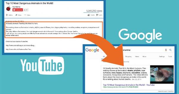 В готовых ответах Google появились описания видео из YouTube