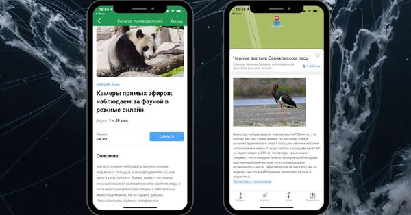На MAPS.ME появился виртуальный тур с наблюдением за жизнью животных