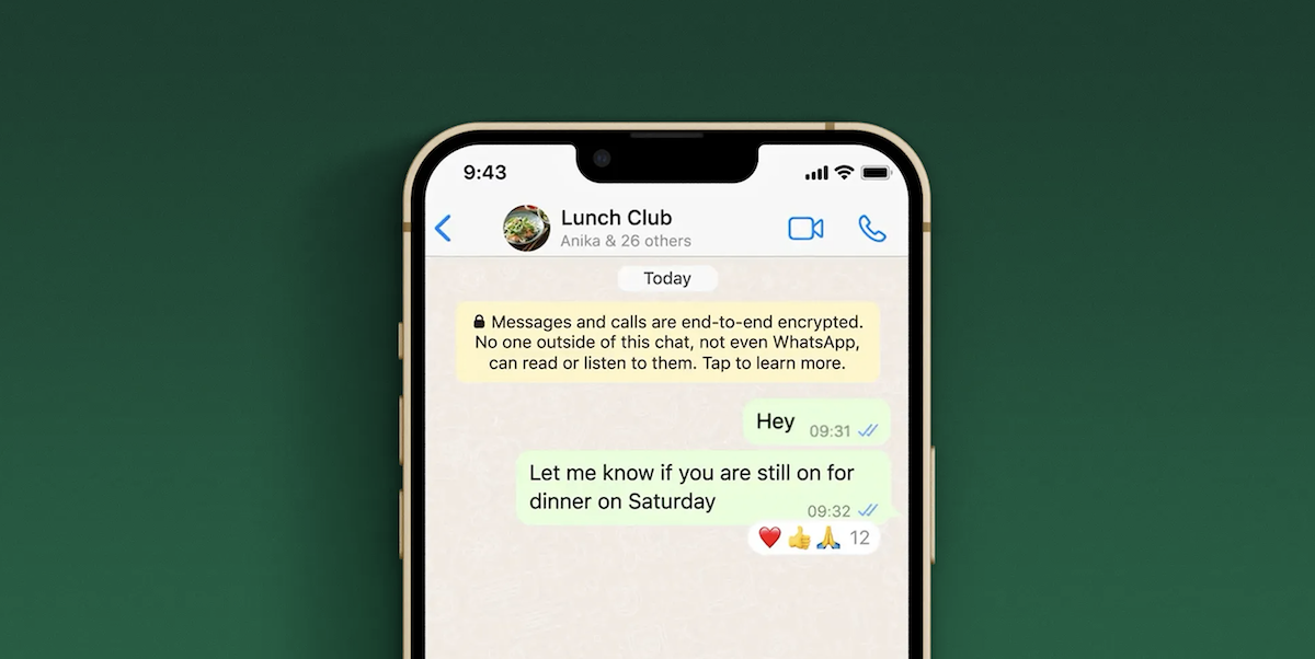 Пользователи WhatsApp смогут реагировать на сообщения любыми эмоджи