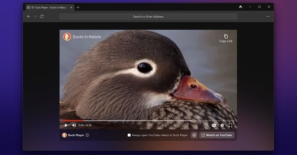 Браузер DuckDuckGo для Windows вышел в публичную бету