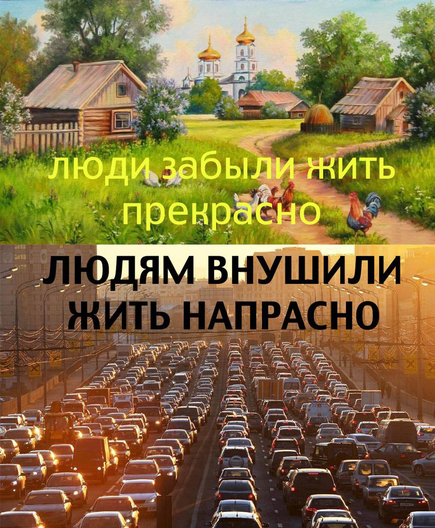 жить прекрасно