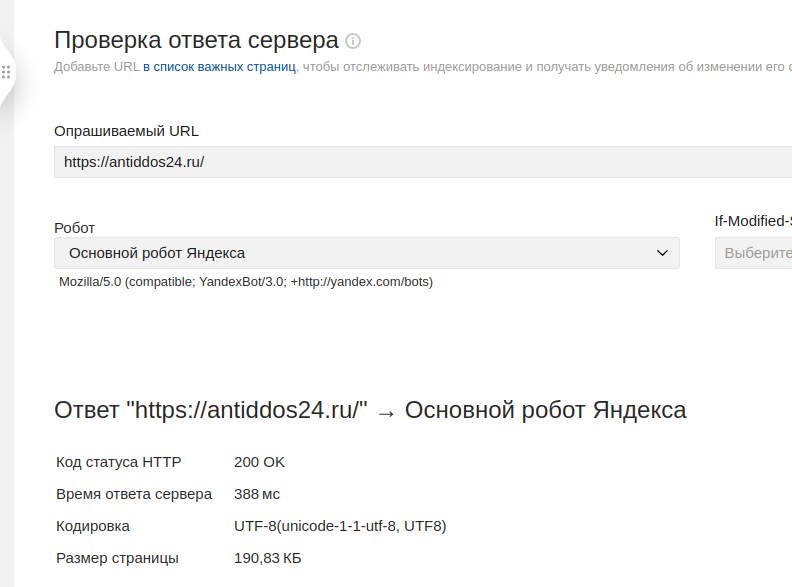 antiddos24 antiddos24