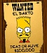 Bart