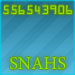 Snashe