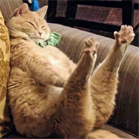 Давид Легендарный