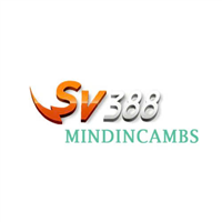 sv388mindincambs