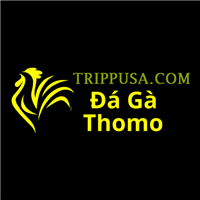 Da ga Truc Tiep Thomo