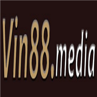 vin88media