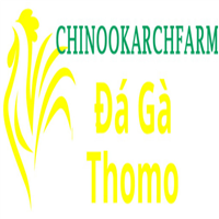 dagachinoo
