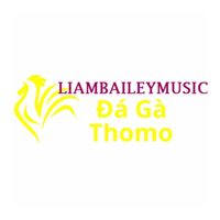 Da Ga Truc Tiep Thomo Da Ga Truc Tiep Thomo