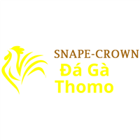 Da Ga Truc Tiep Thomo Da Ga Truc Tiep Thomo
