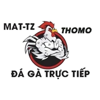 dagatructiepmat