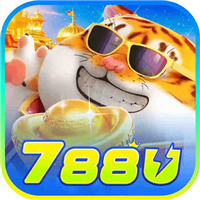 788uus 788uus