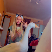 fox.ime