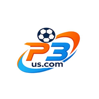 p3 .