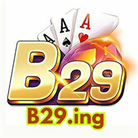 B29 B29