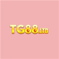 Tg88 Ltd Tg88 Ltd