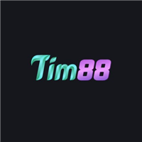 Tim88 biz
