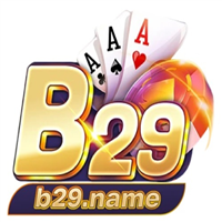 b29