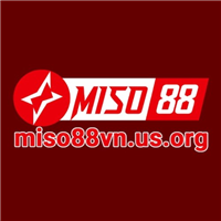 Miso88
