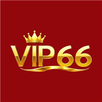 vip66t1com