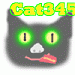 Cat345